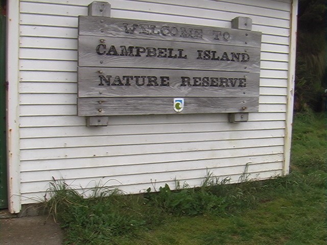 Campbell Island